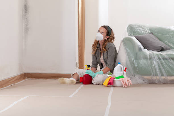 Reliable Mold Remediation contractor in Cherry Hill, NJ by Cheap Mold Removal